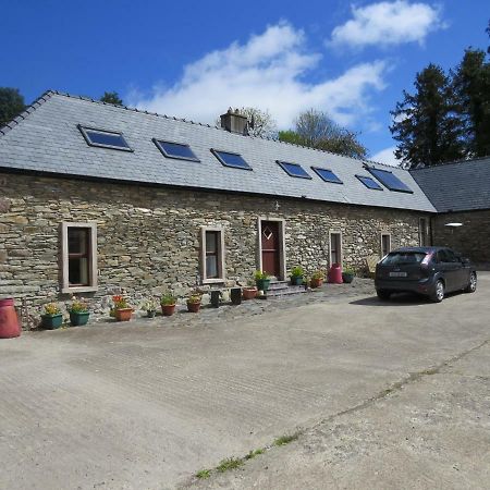 Villa The Old House Carrick-on-Suir Exterior foto