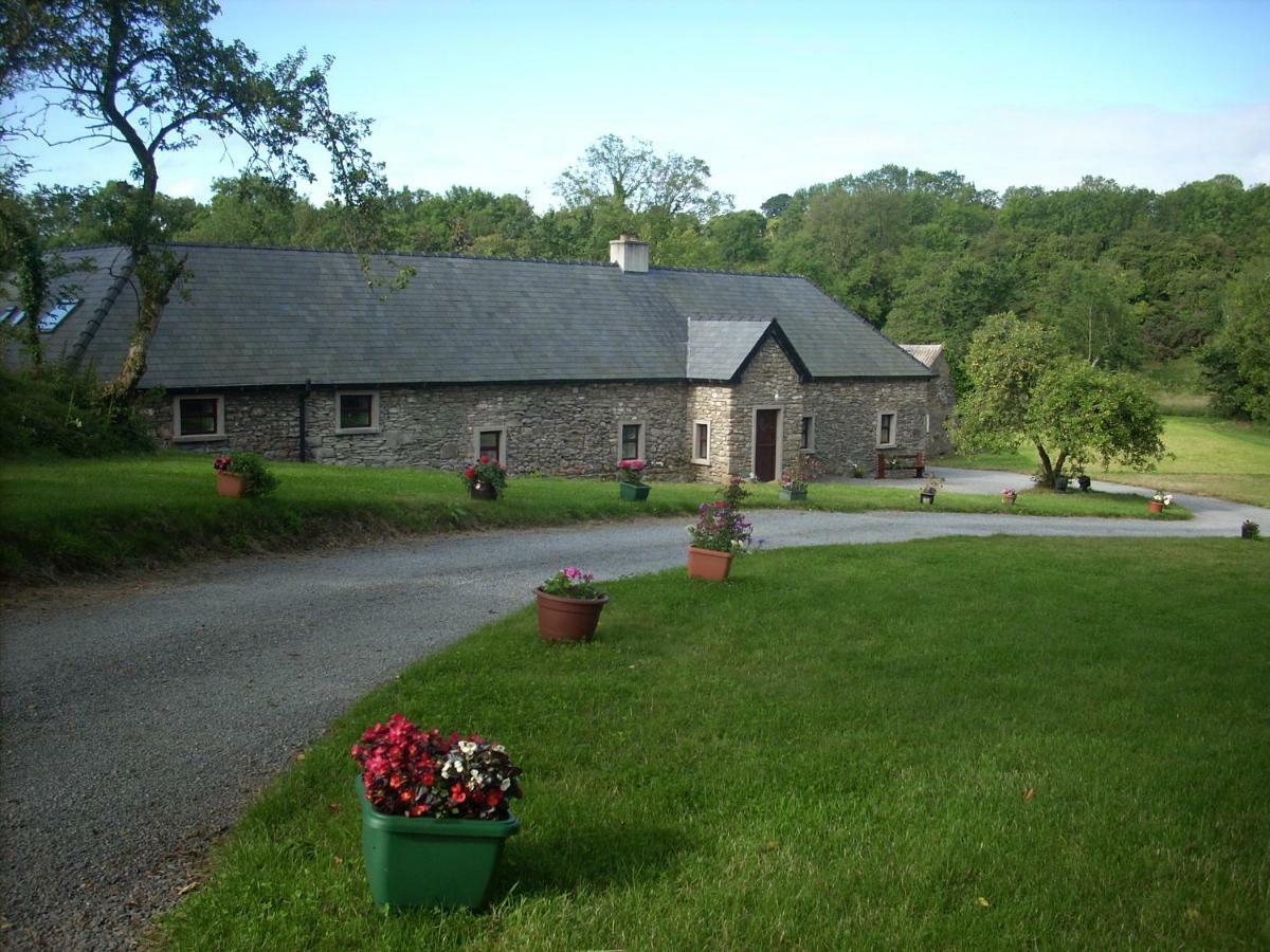 Villa The Old House Carrick-on-Suir Exterior foto