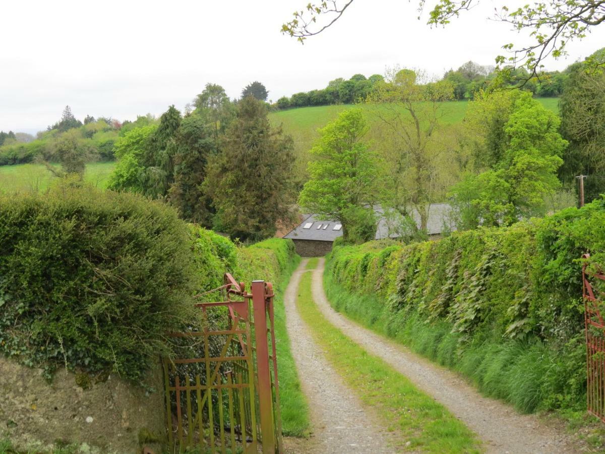 Villa The Old House Carrick-on-Suir Exterior foto