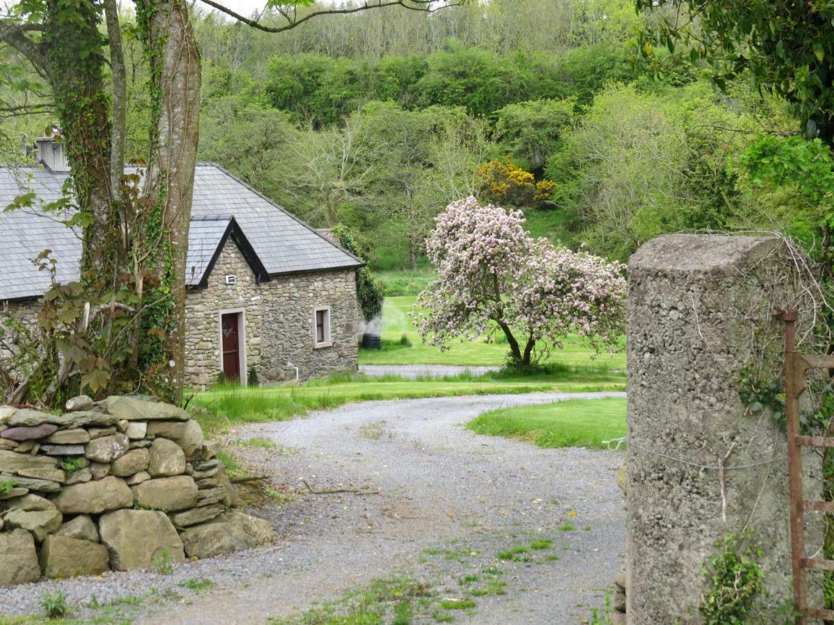 Villa The Old House Carrick-on-Suir Exterior foto